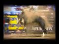 PBR 45 Seconds of Tough