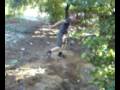 videos de Swanton de pe copac