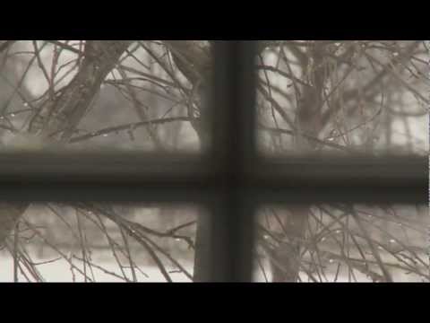 2011 Beekman Holiday Video Card