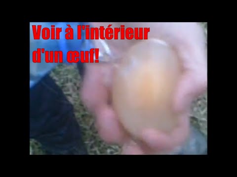 experience - Salut a tous aujourd'hui une expérience facile et sympa à réaliser chez soi ! A réaliser seulement avec deux ingrédients et un peu de patience ! Il faut plon...