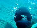 SMSD in the Red Sea (Egypt) Diving Marsa Alam 007