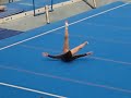 ginnastica artistica