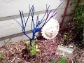 Creative Plant Art Creative Plant Art