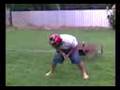 getting kicked in head