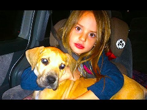 Family - THE HARLEM SHAKE! (Shaytards Style) http://www.youtube.com/watch?v=ObHqqLE6zRQ End Slate Links! Yesterday's Video: http://www.youtube.com/watch?v=mIeKe608rm0...