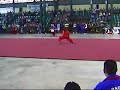 ANA PALMA WUSHU TAOLU