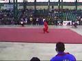 ANA PALMA WUSHU TAOLU
