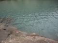 potrerillos