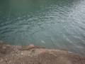 potrerillos