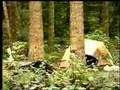 Wild About Washington: July 2006