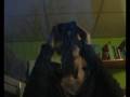 meneer