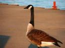 Some of my photography
