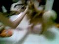 Lexi's Cousins Dog  Being funny