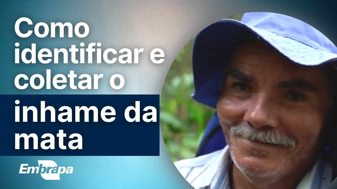 Manejo sustentável do inhame/cará da Mata em um Assentamento Rural emJoaquim Gomes, Alagoas