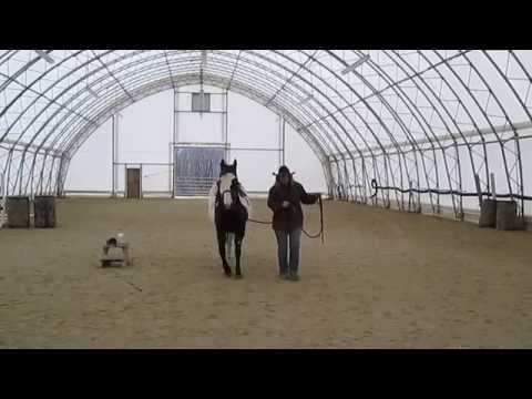 how to provide leadership