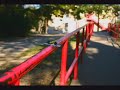 NossaTV Grind Berries