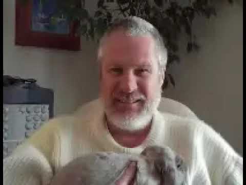 satsang with vishrant on vegetarianism 1