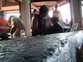 DEEP DISH EN CAVO PARADISO.....MYKONOS.......GRECIA