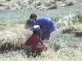 The Karakorum Higway and the Hunza valley (North Pakistan1990)