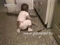 Bakik Bakik