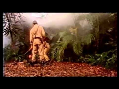 Imagen de previsualización de YouTube