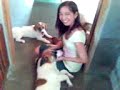 Me and My Three Dogs
