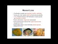 Climate Change and Land Use Impacts on Freshwater Mussels