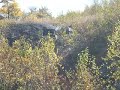 DSCF5689