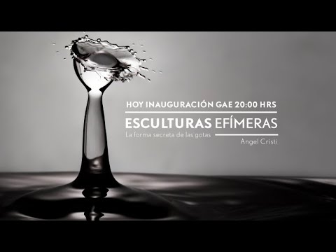 Inauguración LIVE – Exposición Esculturas Efímeras