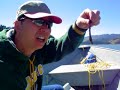 Feeding the fish at san pablo dam