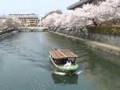 京都　桜　岡崎疏水　2007/04/12:YouTube閲覧数=222回