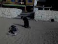 xorz- caidas de watak en la playa
