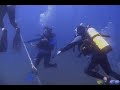 a dive to the bill perry reef off the myrtle beach coast.
