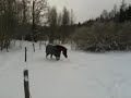 Shades of Moonlight X-mas fun