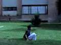 videos de gago gimnasia suba salitre