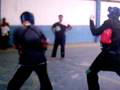 videos de IMAG0050.AVI