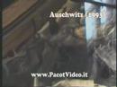 auschwitz: il simbolo della follia e della barbaria umana