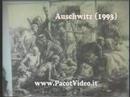 auschwitz: il simbolo della follia e della barbaria umana