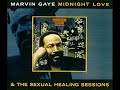 My Love is Waiting (Alternate Vocal Mix)- Marvin Gaye