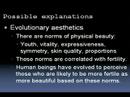 Charting the Uncanny Valley: Explanations. Part 6 of 7