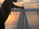 RC sailboat in Taal Lake at sunset