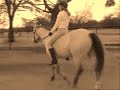 Roxy- Bareback Roxy- Bareback