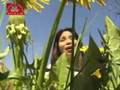 TIBETAN SONG BY PASANG DOLMA