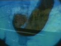 videos de Confesiones X$4
