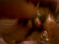 videos de Warp digivolving agumon to war greymon