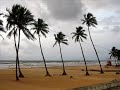 Heavenly Konkan Railway and Goa in monsoon