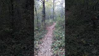 otoño