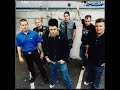 Dropkick Murphys - Loyal to no-one