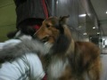 Johnny Loves Maggie-But she won\