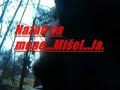 misel in the woods